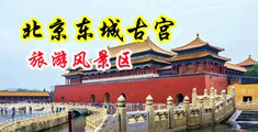 不穿内裤上班被大鸡巴操逼中国北京-东城古宫旅游风景区